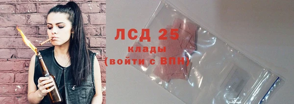 индика Алзамай
