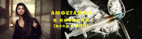 индика Алзамай