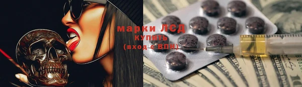индика Алзамай