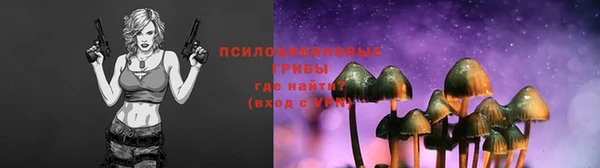 эйфоретик Алексин