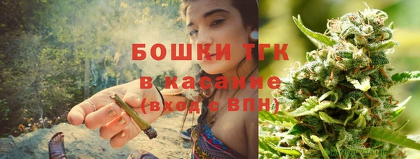 молекула духа Нягань