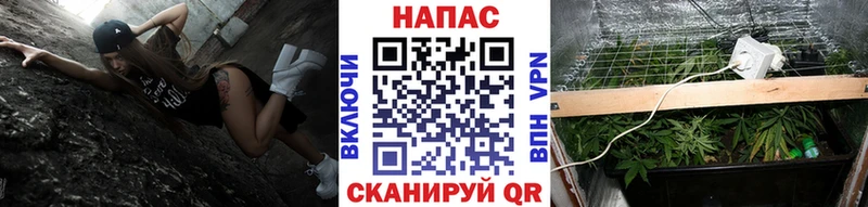 наркота Нытва Канабис конопля